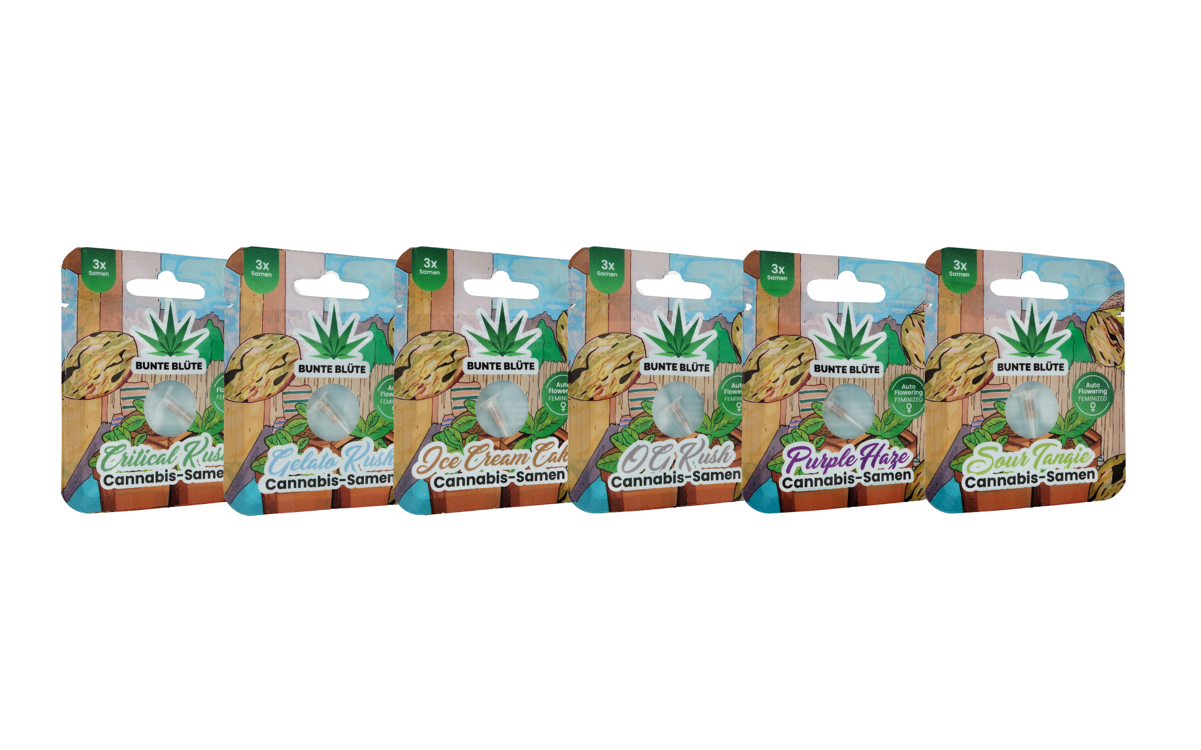 Bunte Blüte Cannabis Samen