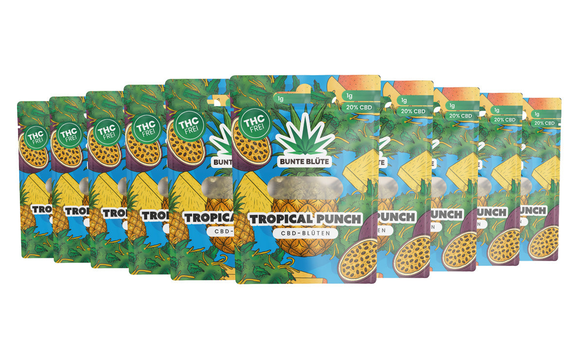 10x 1g CBD Blüte Tropical Punch, THC frei