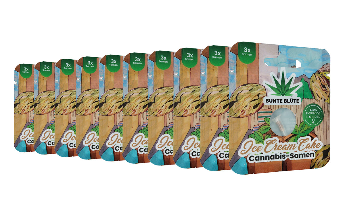 10x 3 Stk. Cannabis Samen Sour Tangie