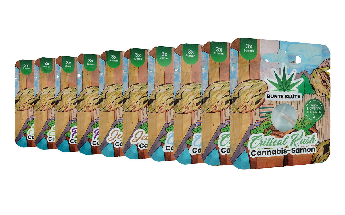 10x 3 Stk. Cannabis Samen Durchmischt